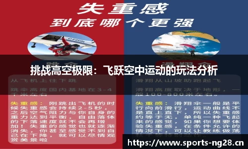 挑战高空极限：飞跃空中运动的玩法分析